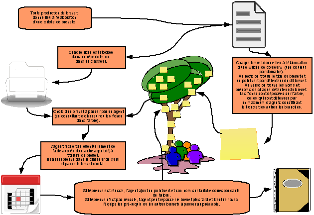 Schéma opérationnel de l'arbre des compétences
